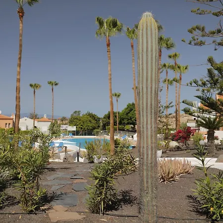 Almacanarias.holidays Alma 2 Apartment Costa Adeje (Tenerife)