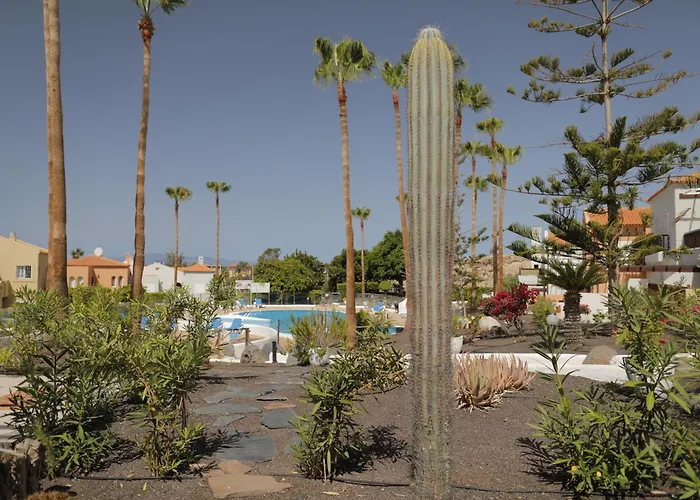 Almacanarias.holidays Alma 2 Apartamento Costa Adeje (Tenerife)